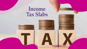 Income Tax Calculator Excel Tool