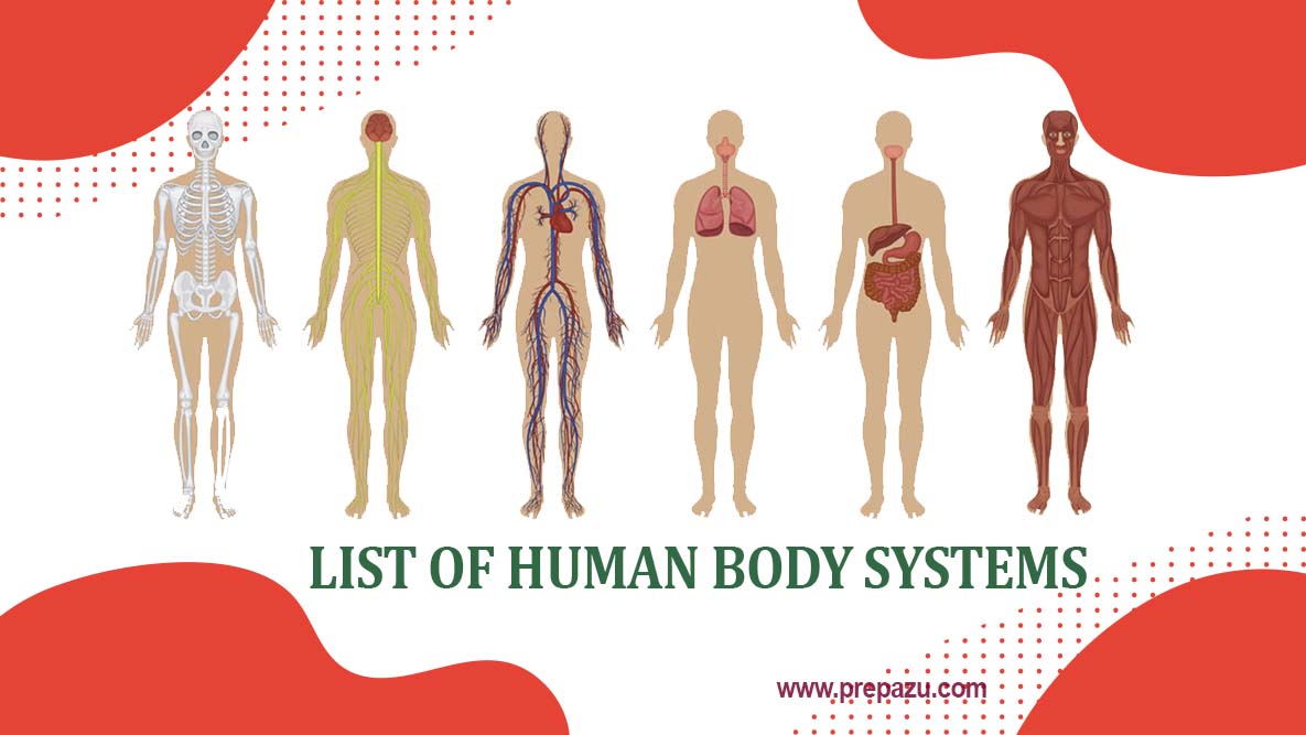 List of human body systems