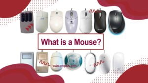 What is the mouse and how many types and different functions?