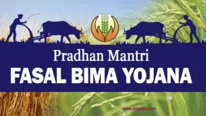 Pradhan Mantri Fasal Bima Yojana Features, Premium and Form Fill